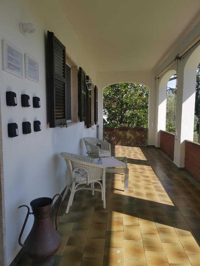 Villa Flora Affittacamere Luni ภายนอก รูปภาพ