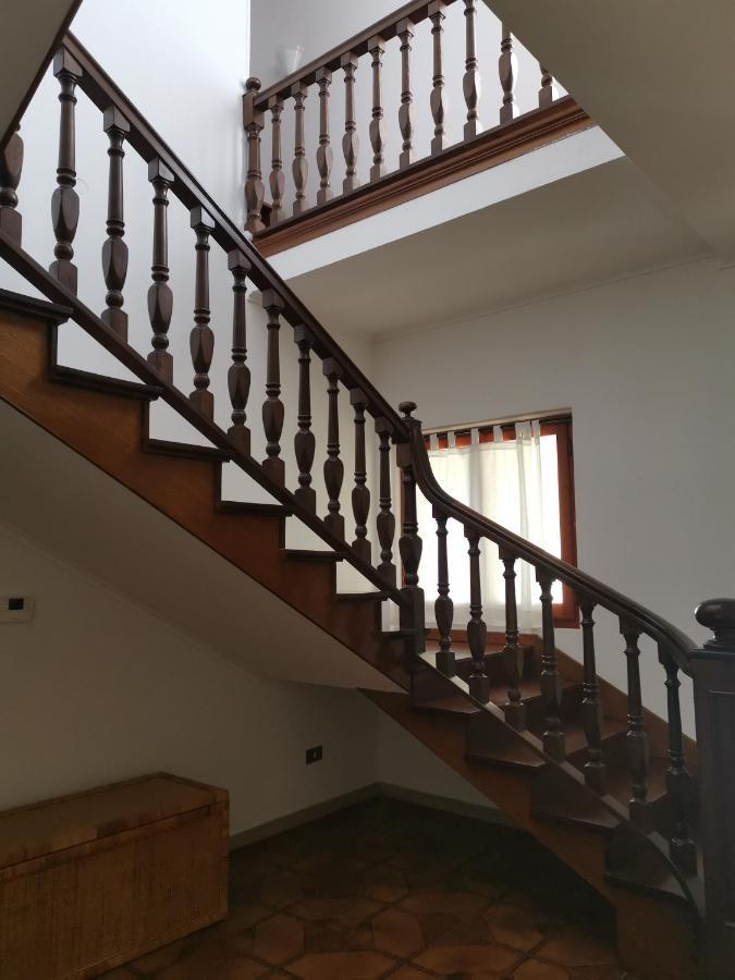 Villa Flora Affittacamere Luni ภายนอก รูปภาพ